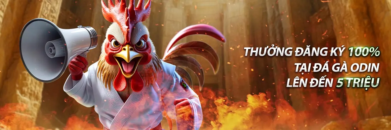 Tài nguyên cá cược 55 Win Bet